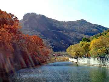 新澳天天开奖资料大全旅游团，我的小姐